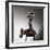 Wooden Senufo equestrian figure, northern Ivory Coast-Werner Forman-Framed Photographic Print