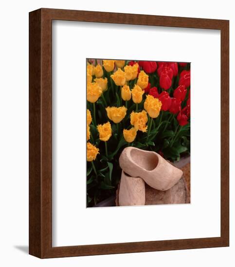 Wooden Shoe Tulips-Ike Leahy-Framed Photo