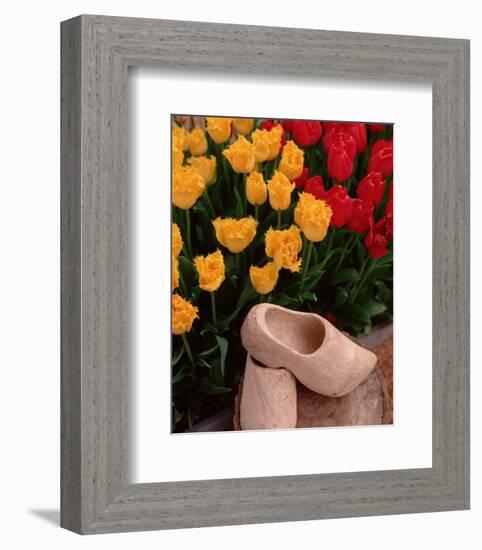 Wooden Shoe Tulips-Ike Leahy-Framed Photo