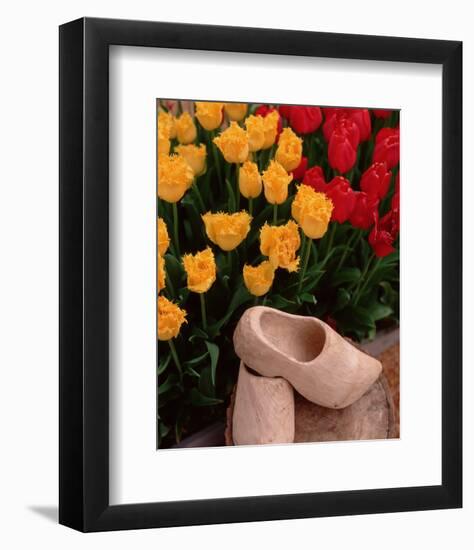 Wooden Shoe Tulips-Ike Leahy-Framed Photo