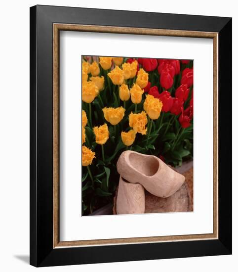 Wooden Shoe Tulips-Ike Leahy-Framed Photo