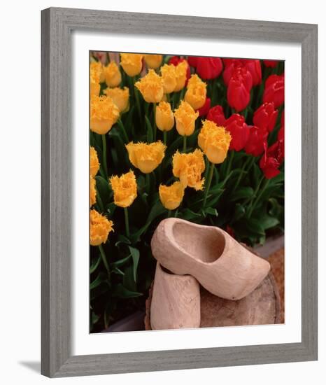 Wooden Shoe Tulips-Ike Leahy-Framed Photo