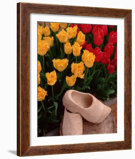 Wooden Shoe Tulips-Ike Leahy-Framed Photo