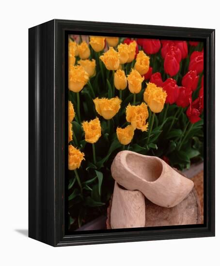 Wooden Shoe Tulips-Ike Leahy-Framed Stretched Canvas