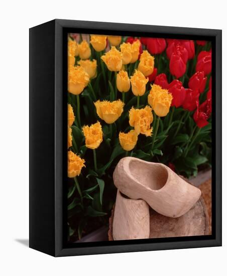 Wooden Shoe Tulips-Ike Leahy-Framed Stretched Canvas