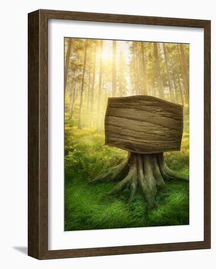 Wooden Sign in the Magic Dark Forest-egal-Framed Photographic Print