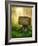 Wooden Sign in the Magic Dark Forest-egal-Framed Photographic Print