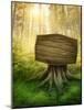 Wooden Sign in the Magic Dark Forest-egal-Mounted Photographic Print