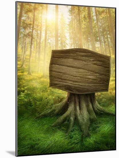 Wooden Sign in the Magic Dark Forest-egal-Mounted Photographic Print