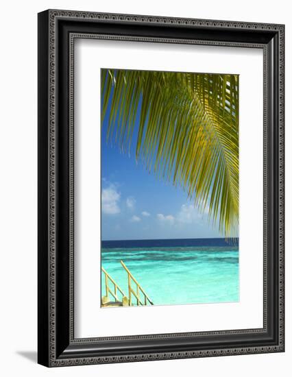 Wooden Stairs Out to Tropical Sea, Maldives, Indian Ocean, Asia-Sakis Papadopoulos-Framed Photographic Print