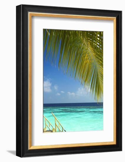 Wooden Stairs Out to Tropical Sea, Maldives, Indian Ocean, Asia-Sakis Papadopoulos-Framed Photographic Print