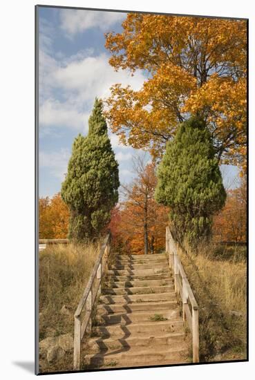 Wooden Steps In Autumn, Marquette, Michigan '12-Monte Nagler-Mounted Photographic Print
