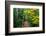 Wooden Walking Trail in Acadia National Park, Maine, USA-Joanne Wells-Framed Photographic Print