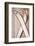 Wooden Wall, Skis-Rainer Mirau-Framed Photographic Print