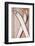 Wooden Wall, Skis-Rainer Mirau-Framed Photographic Print