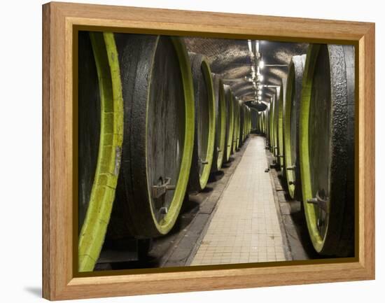 Wooden Wine Barrels, Rosa Coeli Wine Cellar, Dolni Kounice, Brnensko, Czech Republic, Europe-Richard Nebesky-Framed Premier Image Canvas