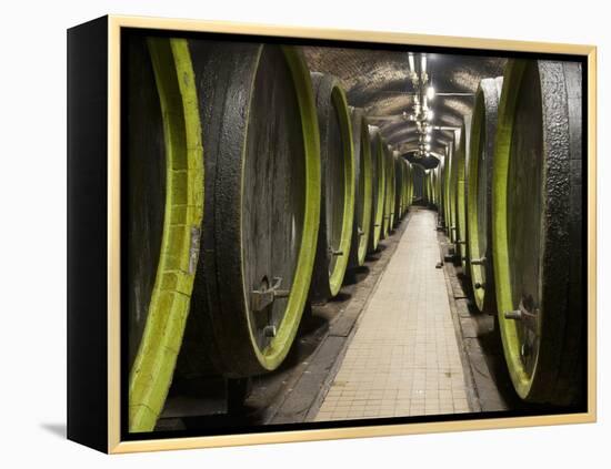 Wooden Wine Barrels, Rosa Coeli Wine Cellar, Dolni Kounice, Brnensko, Czech Republic, Europe-Richard Nebesky-Framed Premier Image Canvas