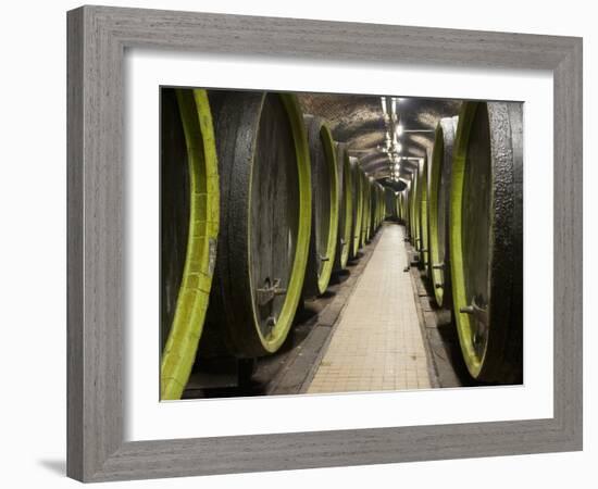 Wooden Wine Barrels, Rosa Coeli Wine Cellar, Dolni Kounice, Brnensko, Czech Republic, Europe-Richard Nebesky-Framed Photographic Print