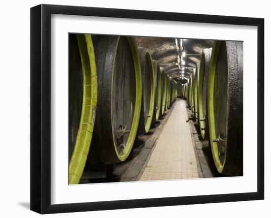 Wooden Wine Barrels, Rosa Coeli Wine Cellar, Dolni Kounice, Brnensko, Czech Republic, Europe-Richard Nebesky-Framed Photographic Print