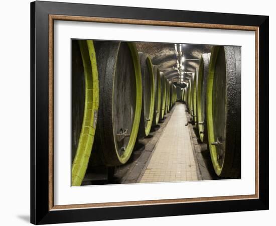 Wooden Wine Barrels, Rosa Coeli Wine Cellar, Dolni Kounice, Brnensko, Czech Republic, Europe-Richard Nebesky-Framed Photographic Print