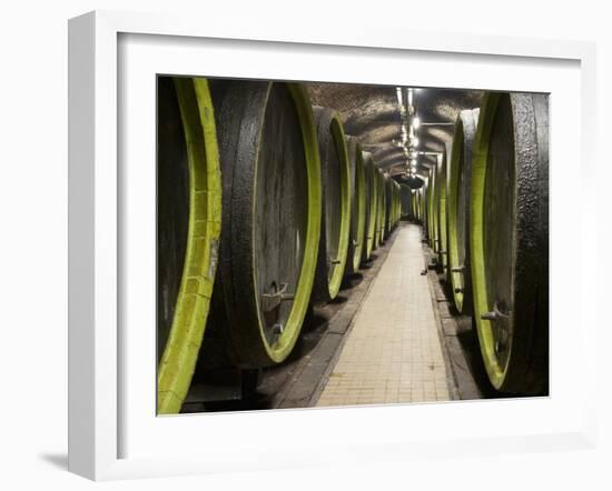 Wooden Wine Barrels, Rosa Coeli Wine Cellar, Dolni Kounice, Brnensko, Czech Republic, Europe-Richard Nebesky-Framed Photographic Print