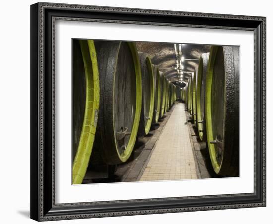 Wooden Wine Barrels, Rosa Coeli Wine Cellar, Dolni Kounice, Brnensko, Czech Republic, Europe-Richard Nebesky-Framed Photographic Print