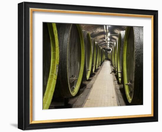 Wooden Wine Barrels, Rosa Coeli Wine Cellar, Dolni Kounice, Brnensko, Czech Republic, Europe-Richard Nebesky-Framed Photographic Print