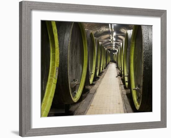 Wooden Wine Barrels, Rosa Coeli Wine Cellar, Dolni Kounice, Brnensko, Czech Republic, Europe-Richard Nebesky-Framed Photographic Print