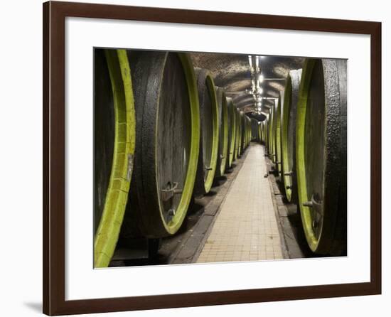 Wooden Wine Barrels, Rosa Coeli Wine Cellar, Dolni Kounice, Brnensko, Czech Republic, Europe-Richard Nebesky-Framed Photographic Print