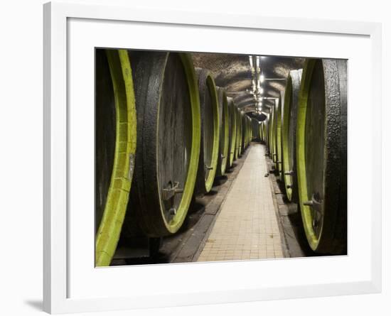 Wooden Wine Barrels, Rosa Coeli Wine Cellar, Dolni Kounice, Brnensko, Czech Republic, Europe-Richard Nebesky-Framed Photographic Print