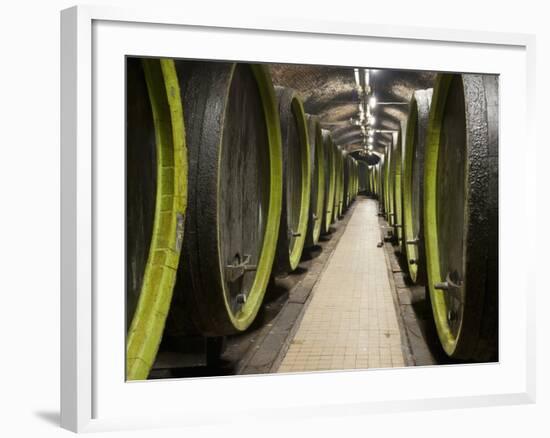 Wooden Wine Barrels, Rosa Coeli Wine Cellar, Dolni Kounice, Brnensko, Czech Republic, Europe-Richard Nebesky-Framed Photographic Print