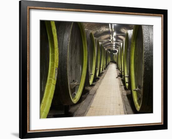 Wooden Wine Barrels, Rosa Coeli Wine Cellar, Dolni Kounice, Brnensko, Czech Republic, Europe-Richard Nebesky-Framed Photographic Print