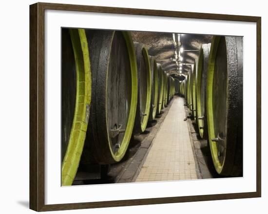 Wooden Wine Barrels, Rosa Coeli Wine Cellar, Dolni Kounice, Brnensko, Czech Republic, Europe-Richard Nebesky-Framed Photographic Print