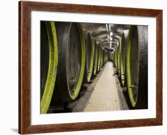 Wooden Wine Barrels, Rosa Coeli Wine Cellar, Dolni Kounice, Brnensko, Czech Republic, Europe-Richard Nebesky-Framed Photographic Print