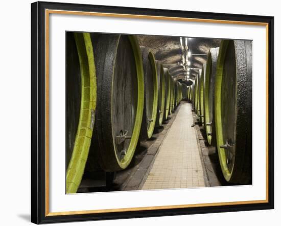 Wooden Wine Barrels, Rosa Coeli Wine Cellar, Dolni Kounice, Brnensko, Czech Republic, Europe-Richard Nebesky-Framed Photographic Print