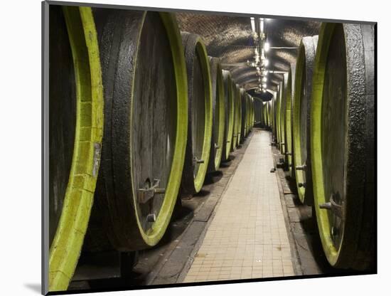 Wooden Wine Barrels, Rosa Coeli Wine Cellar, Dolni Kounice, Brnensko, Czech Republic, Europe-Richard Nebesky-Mounted Photographic Print