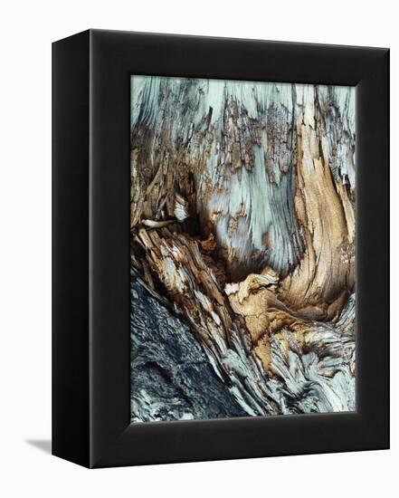Wooden-Design Fabrikken-Framed Premier Image Canvas