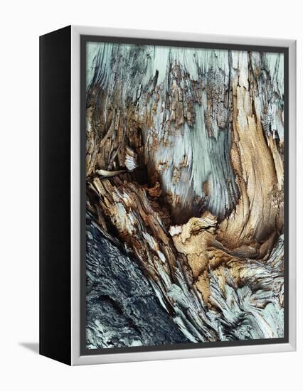 Wooden-Design Fabrikken-Framed Premier Image Canvas