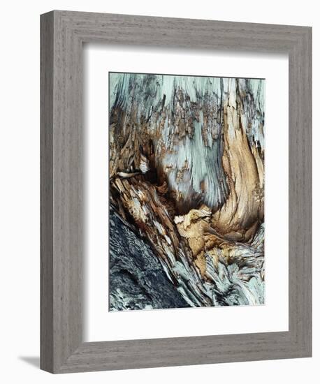 Wooden-Design Fabrikken-Framed Photographic Print