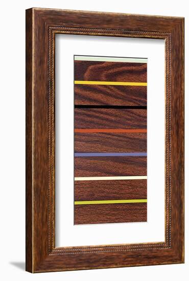 Woodgrain and Stripe-Dan Bleier-Framed Giclee Print