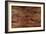 Woodgrain-Alexys Henry-Framed Giclee Print