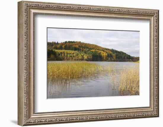 Woodhall Loch, Near Laurieston, Dumfries and Galloway, Scotland, United Kingdom, Europe-Gary Cook-Framed Photographic Print