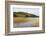 Woodhall Loch, Near Laurieston, Dumfries and Galloway, Scotland, United Kingdom, Europe-Gary Cook-Framed Photographic Print