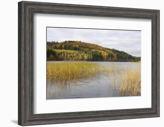 Woodhall Loch, Near Laurieston, Dumfries and Galloway, Scotland, United Kingdom, Europe-Gary Cook-Framed Photographic Print