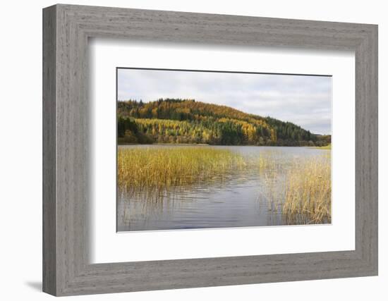 Woodhall Loch, Near Laurieston, Dumfries and Galloway, Scotland, United Kingdom, Europe-Gary Cook-Framed Photographic Print