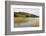 Woodhall Loch, Near Laurieston, Dumfries and Galloway, Scotland, United Kingdom, Europe-Gary Cook-Framed Photographic Print