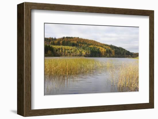 Woodhall Loch, Near Laurieston, Dumfries and Galloway, Scotland, United Kingdom, Europe-Gary Cook-Framed Photographic Print