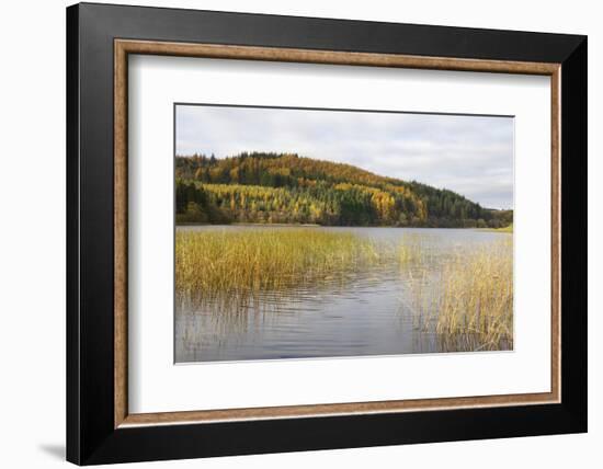 Woodhall Loch, Near Laurieston, Dumfries and Galloway, Scotland, United Kingdom, Europe-Gary Cook-Framed Photographic Print