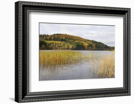 Woodhall Loch, Near Laurieston, Dumfries and Galloway, Scotland, United Kingdom, Europe-Gary Cook-Framed Photographic Print