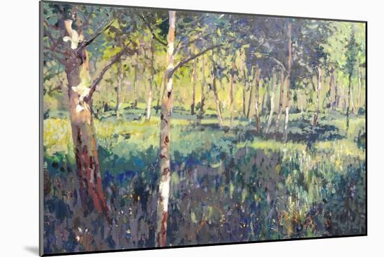 Woodland, 2014-Martin Decent-Mounted Giclee Print